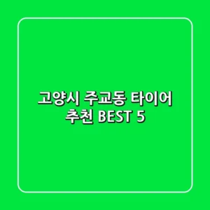 고양시 주교동 타이어 추천 BEST 5