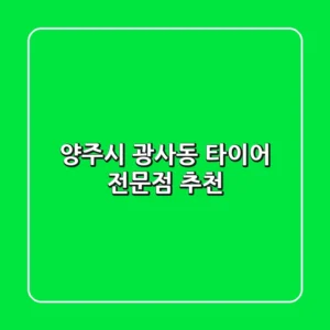 양주시 광사동 타이어 전문점 추천