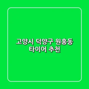 고양시 덕양구 원흥동 타이어 추천