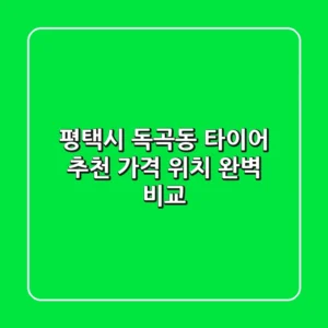평택시 독곡동 타이어 추천 | 가격, 위치 완벽 비교