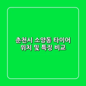 춘천시 소양동 타이어, 위치 및 특징 비교