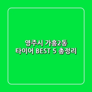 영주시 가흥2동 타이어 BEST 5 총정리
