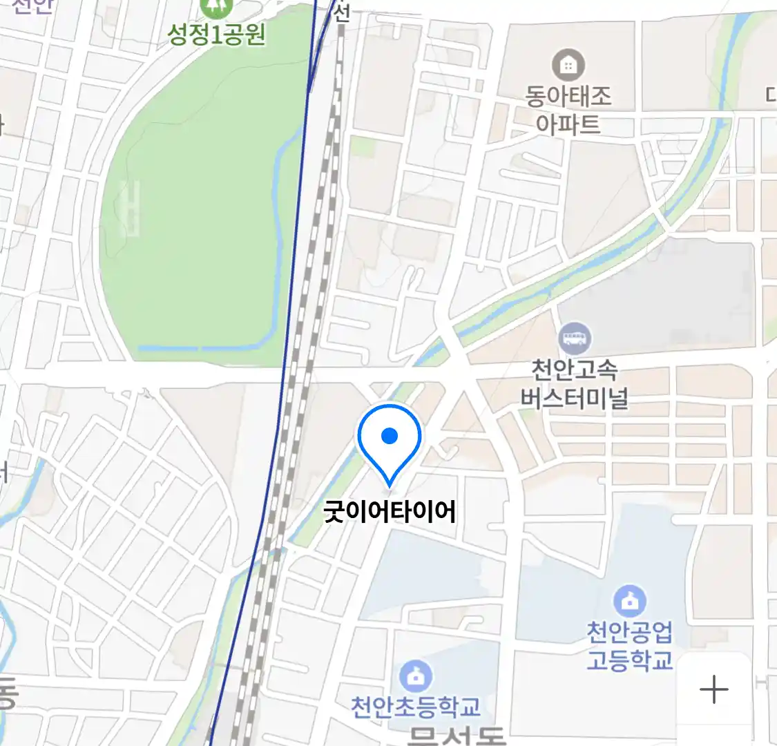 굿이어타이어