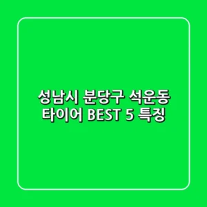 성남시 분당구 석운동 타이어: BEST 5 특징