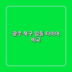 광주 북구 임동 타이어 비교
