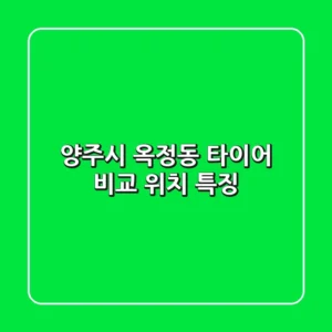 양주시 옥정동 타이어 비교, 위치, 특징