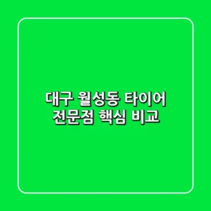 대구 월성동 타이어 전문점 핵심 비교