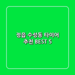 정읍 수성동 타이어: 추천 BEST 5