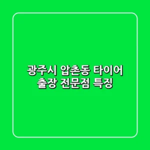 광주시 압촌동 타이어 출장 전문점 특징