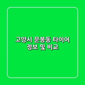고양시 문봉동 타이어: 정보 및 비교