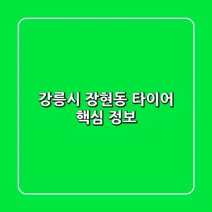 강릉시 장현동 타이어: 핵심 정보