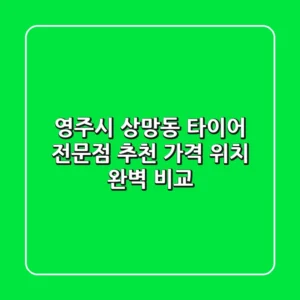 영주시 상망동 타이어 전문점 추천 | 가격 & 위치 완벽 비교