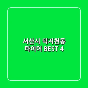 서산시 덕지천동 타이어 BEST 4