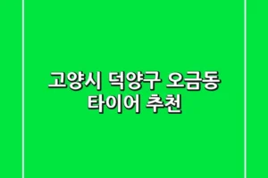 고양시 덕양구 오금동 타이어 추천
