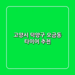 고양시 덕양구 오금동 타이어 추천