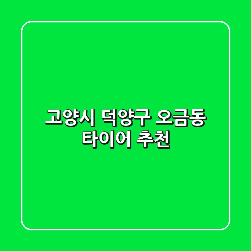 고양시 덕양구 오금동 타이어 추천