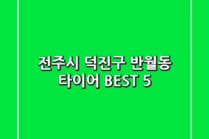 전주시 덕진구 반월동 타이어 BEST 5