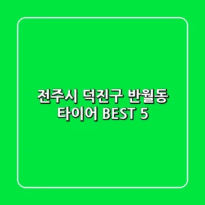 전주시 덕진구 반월동 타이어 BEST 5