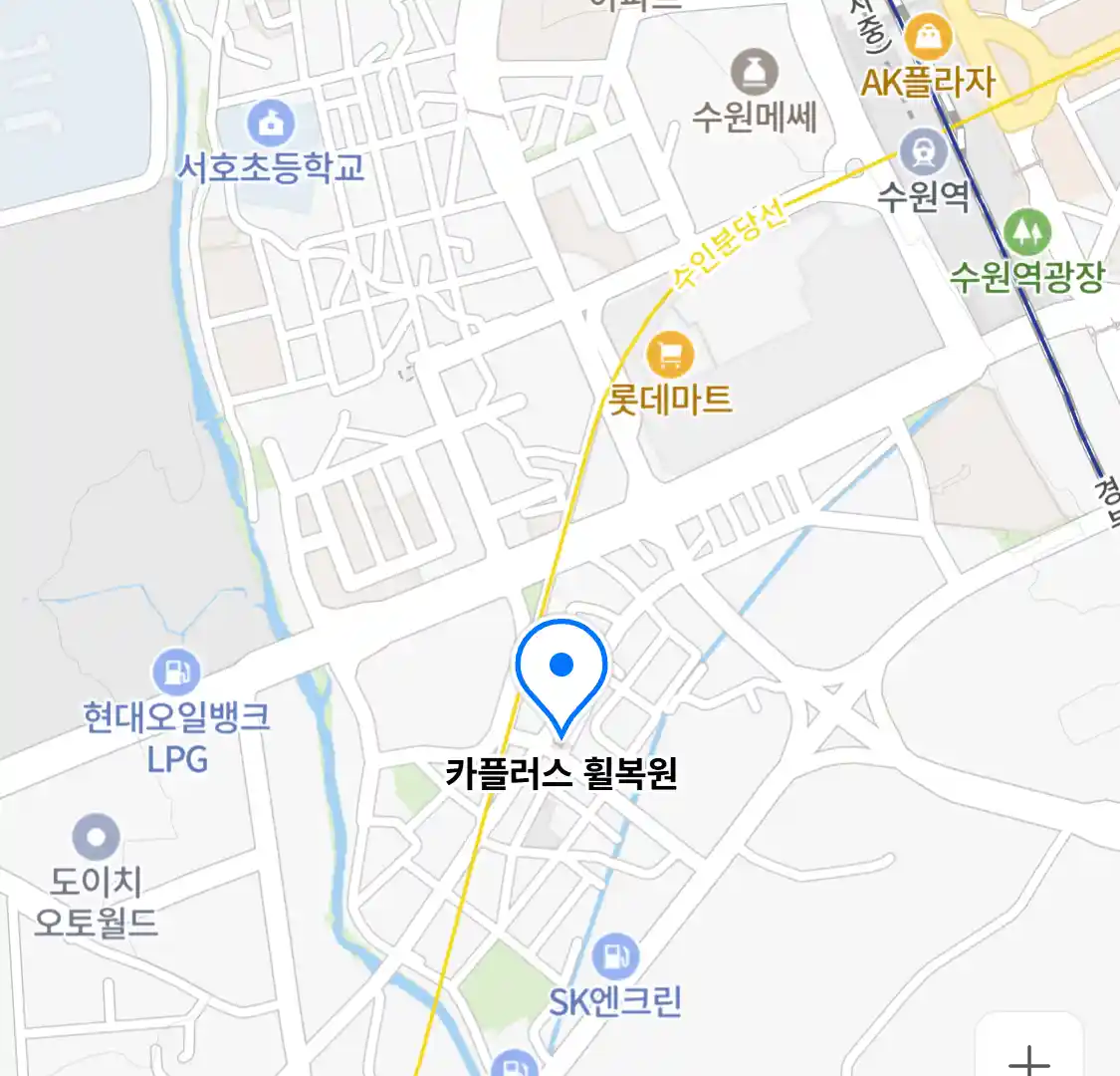 카플러스 휠복원