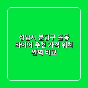 성남시 분당구 율동 타이어 추천 | 가격, 위치 완벽 비교