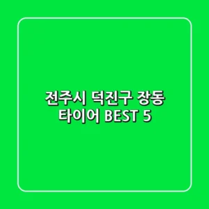 전주시 덕진구 장동 타이어 BEST 5