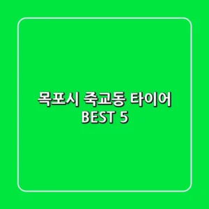 목포시 죽교동 타이어 BEST 5