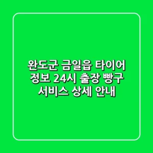 완도군 금일읍 타이어 정보: 24시 출장 빵구 서비스 상세 안내