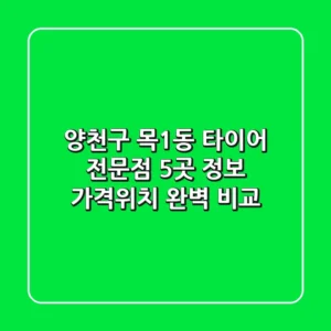 양천구 목1동 타이어 전문점 5곳 정보 - 가격/위치 완벽 비교