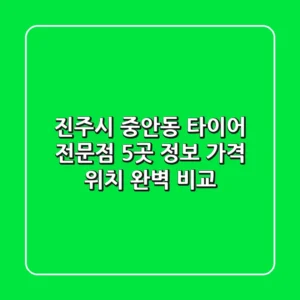 진주시 중안동 타이어 전문점 5곳 정보 - 가격, 위치 완벽 비교