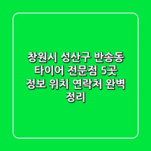 창원시 성산구 반송동 타이어 전문점 5곳 정보 - 위치, 연락처 완벽 정리