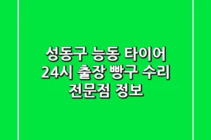 성동구 능동 타이어 24시 출장 빵구 수리 전문점 정보