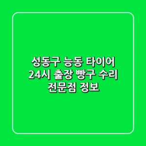 성동구 능동 타이어 24시 출장 빵구 수리 전문점 정보