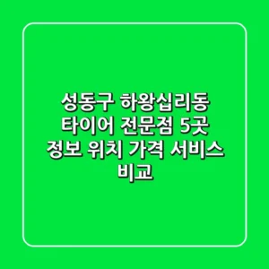 성동구 하왕십리동 타이어 전문점 5곳 정보 - 위치, 가격, 서비스 비교