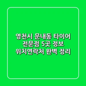 영천시 문내동 타이어 전문점 5곳 정보 - 위치/연락처 완벽 정리