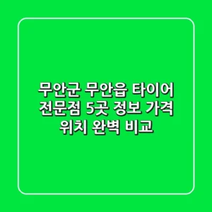무안군 무안읍 타이어 전문점 5곳 정보 - 가격, 위치 완벽 비교