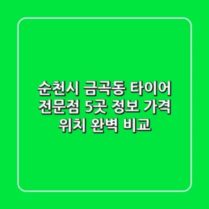 순천시 금곡동 타이어 전문점 5곳 정보 - 가격, 위치 완벽 비교