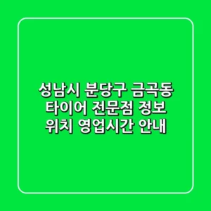 성남시 분당구 금곡동 타이어 전문점 정보 - 위치, 영업시간 안내