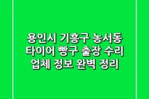 용인시 기흥구 농서동 타이어 빵구 출장 수리 업체 정보 완벽 정리