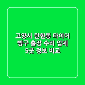 고양시 탄현동 타이어 빵구 출장 수리 업체 5곳 정보 비교