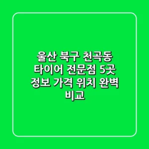 울산 북구 천곡동 타이어 전문점 5곳 정보 - 가격, 위치 완벽 비교