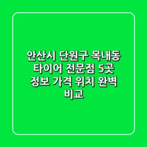 안산시 단원구 목내동 타이어 전문점 5곳 정보 - 가격, 위치 완벽 비교