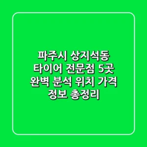 파주시 상지석동 타이어 전문점 5곳 완벽 분석 - 위치, 가격 정보 총정리