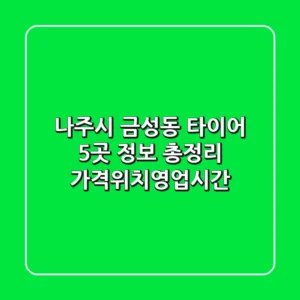나주시 금성동 타이어 5곳 정보 총정리 - 가격/위치/영업시간