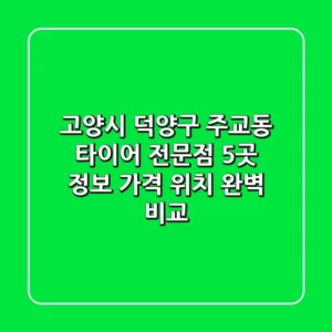 고양시 덕양구 주교동 타이어 전문점 5곳 정보 - 가격, 위치 완벽 비교