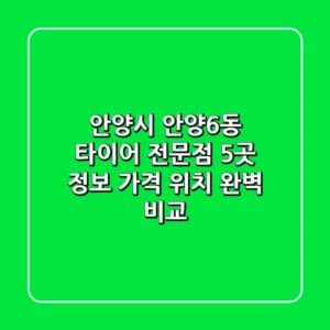 안양시 안양6동 타이어 전문점 5곳 정보 - 가격, 위치 완벽 비교
