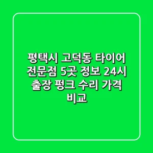 평택시 고덕동 타이어 전문점 5곳 정보 - 24시 출장, 펑크 수리, 가격 비교