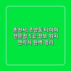 춘천시 조양동 타이어 전문점 5곳 정보 - 위치, 연락처 완벽 정리