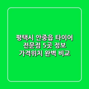 평택시 안중읍 타이어 전문점 5곳 정보 - 가격/위치 완벽 비교