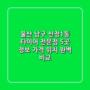 울산 남구 신정1동 타이어 전문점 5곳 정보 - 가격, 위치 완벽 비교