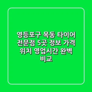영등포구 목동 타이어 전문점 5곳 정보 - 가격, 위치, 영업시간 완벽 비교